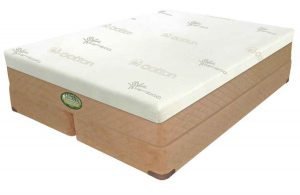 Softside Frame Free Sponge Waterbed Mattress Set